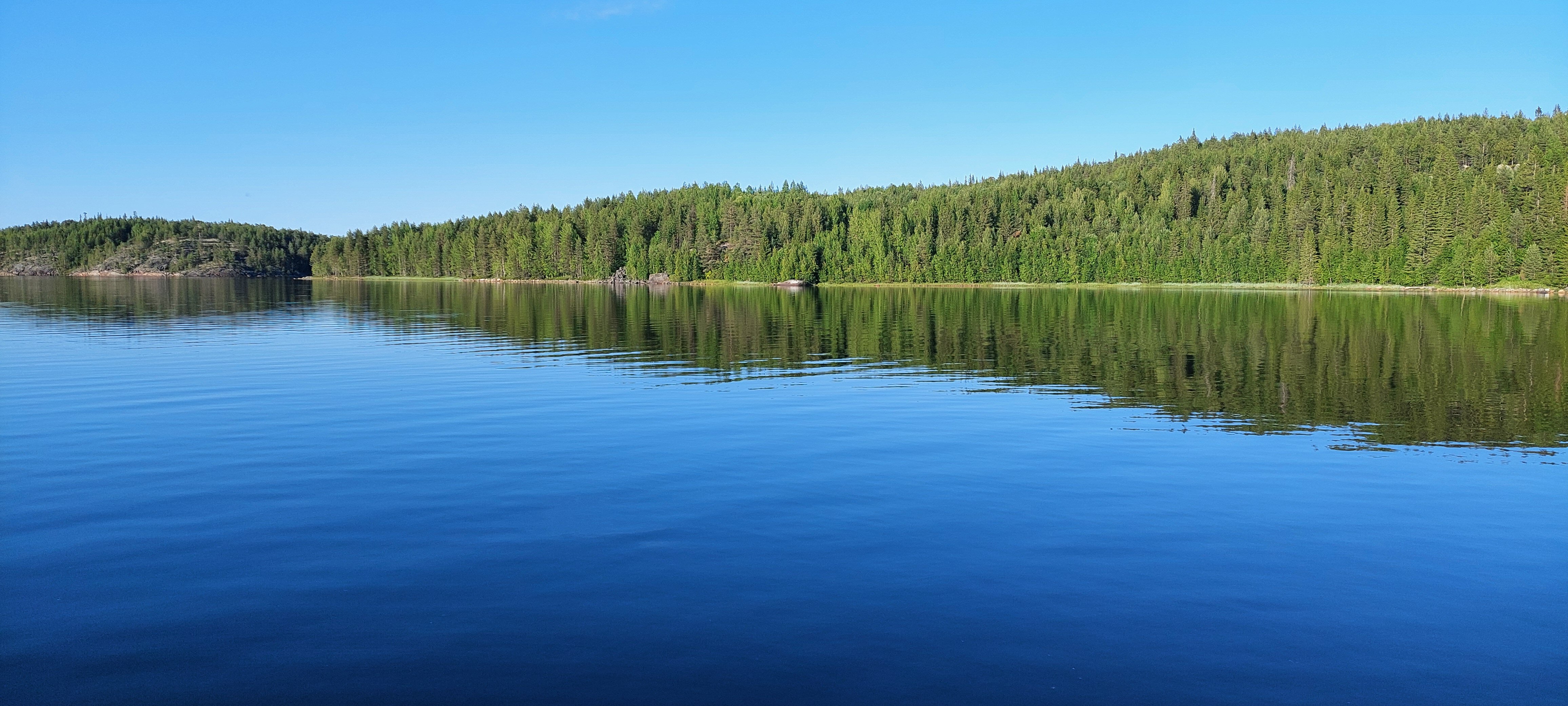 Фото Нереис