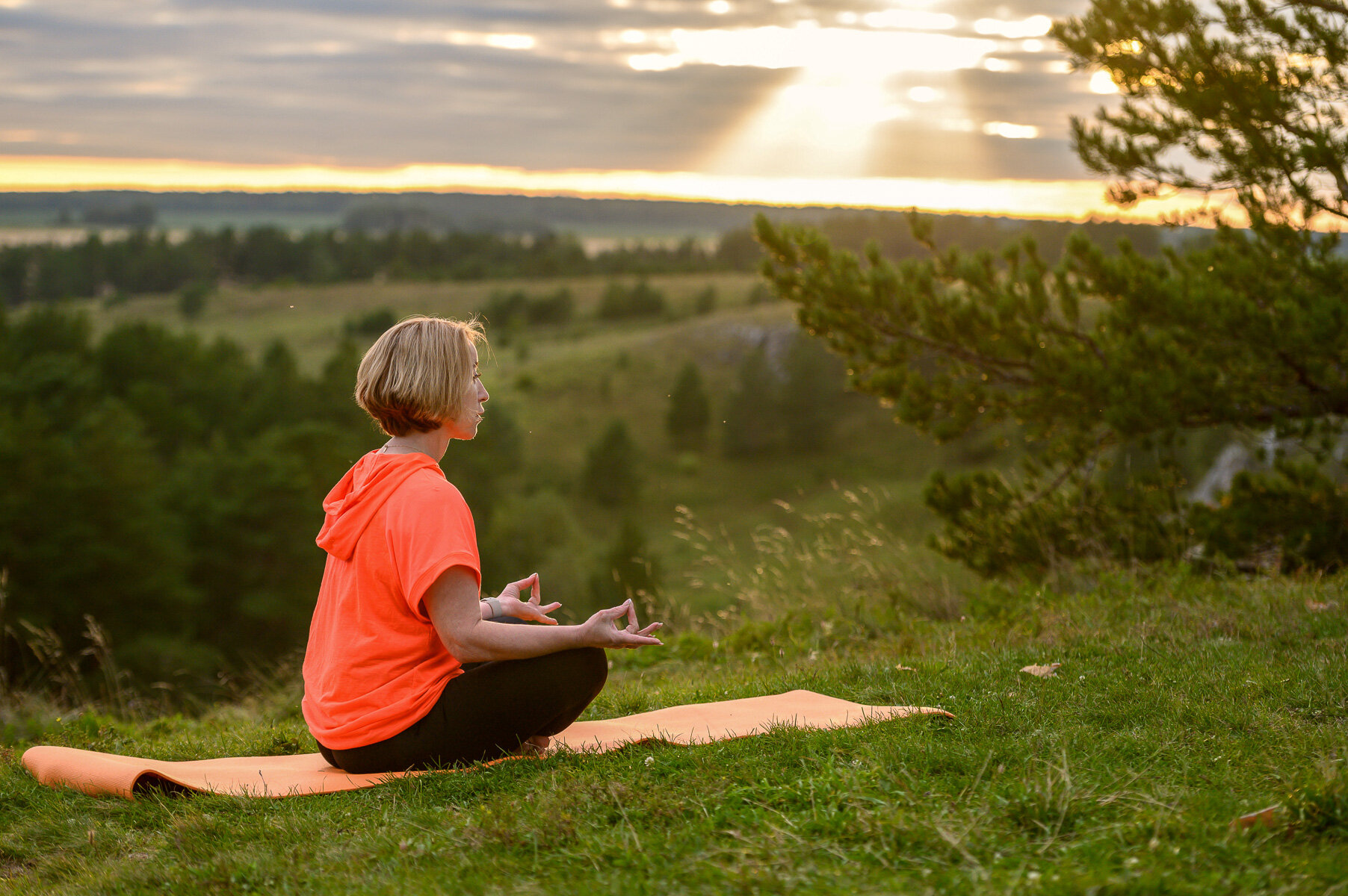 Фото Вилла Смородина