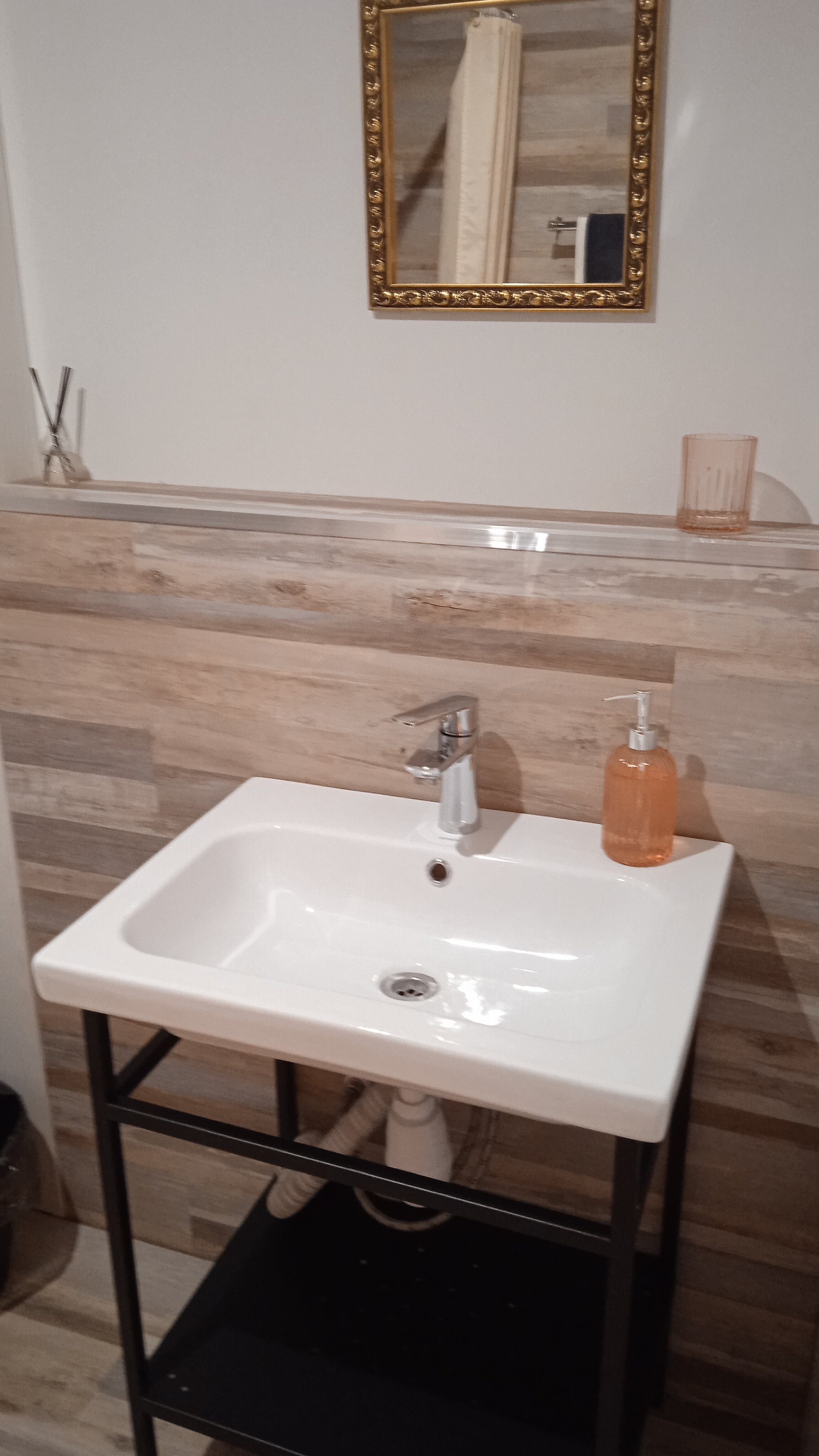 Фото Акация