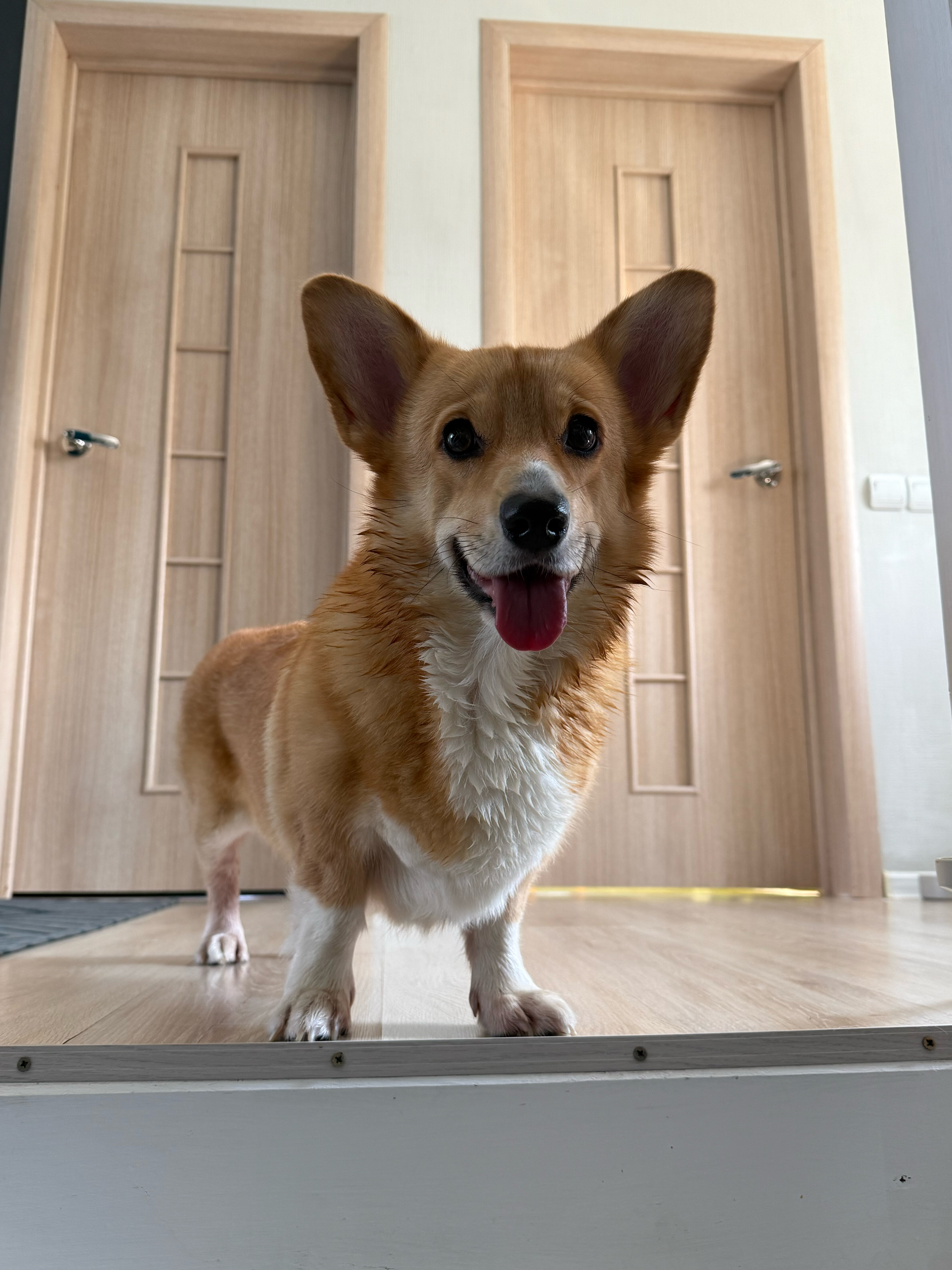 Фото SkyTerraVillage