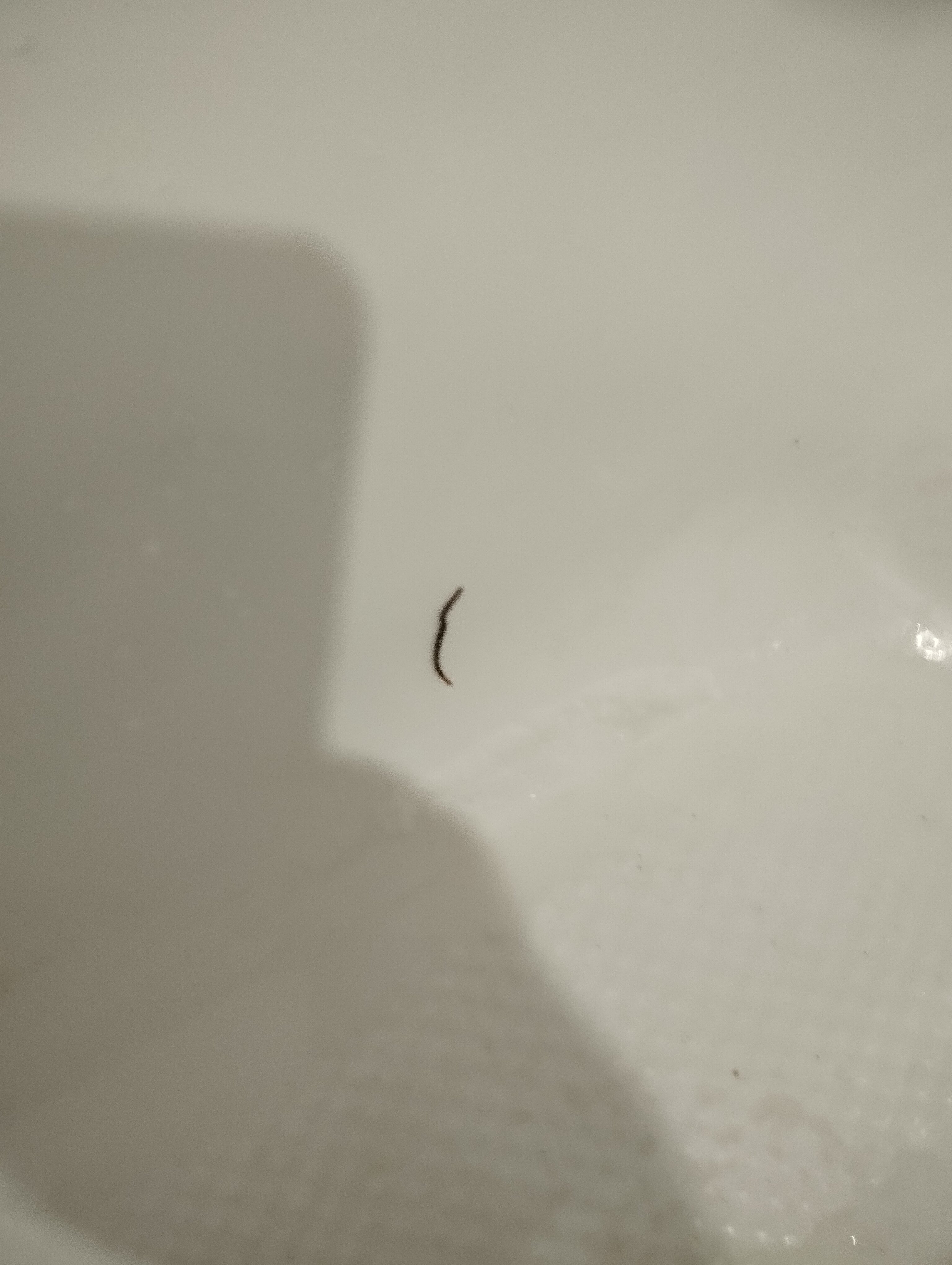 Фото Славно на улице Шаумяна 34