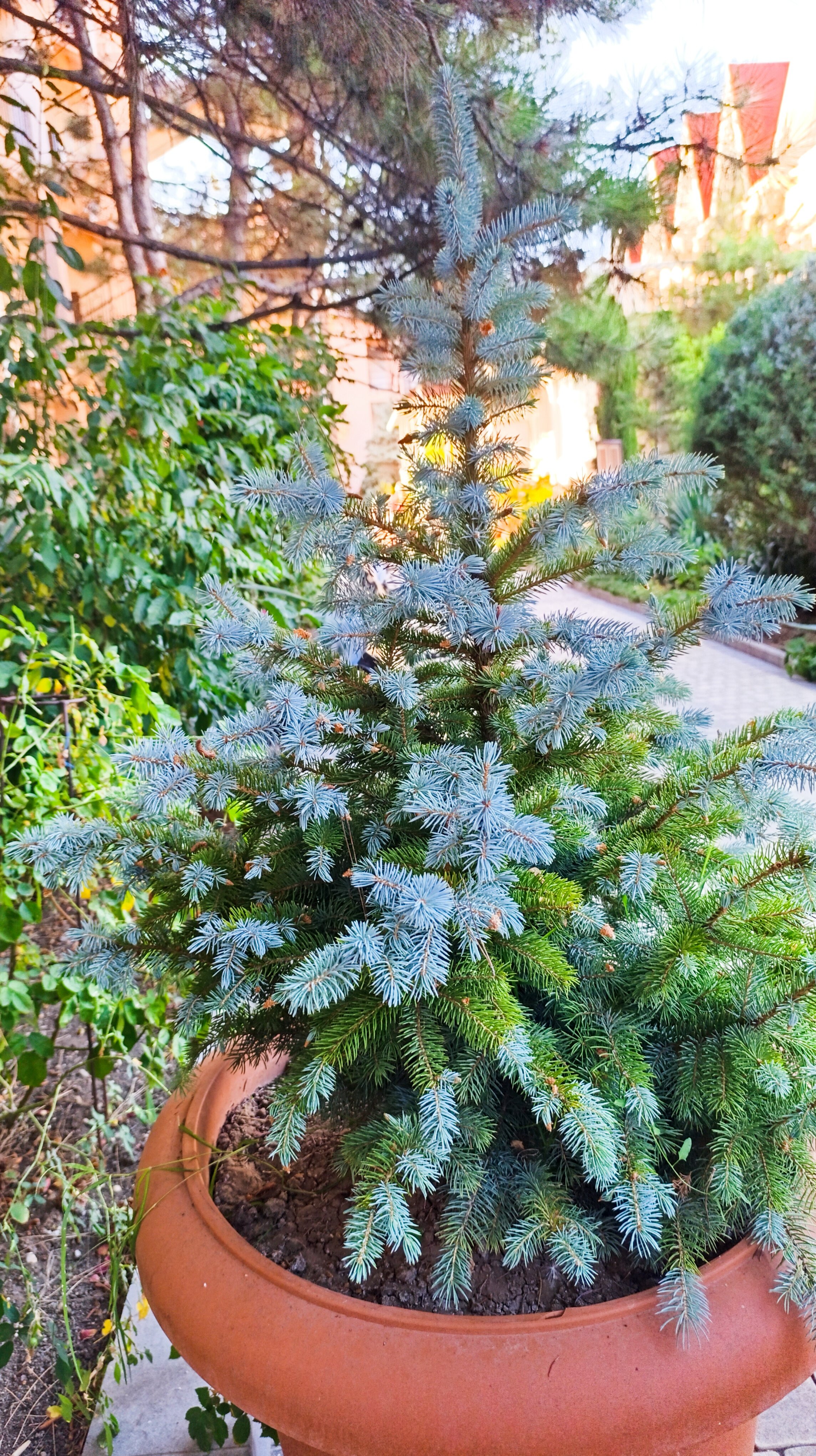 Фото Рассвет