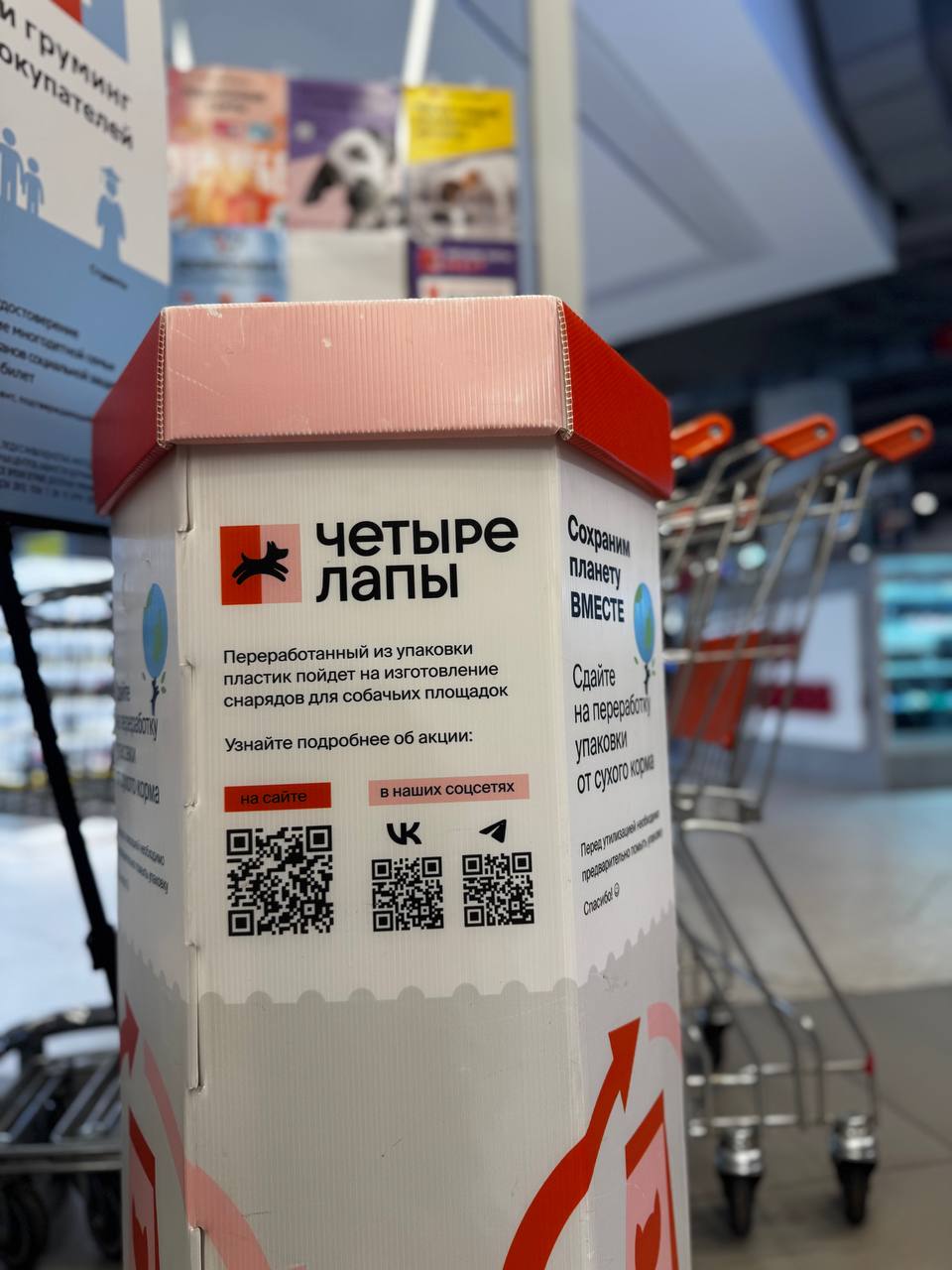 Четыре Лапы - фото 15