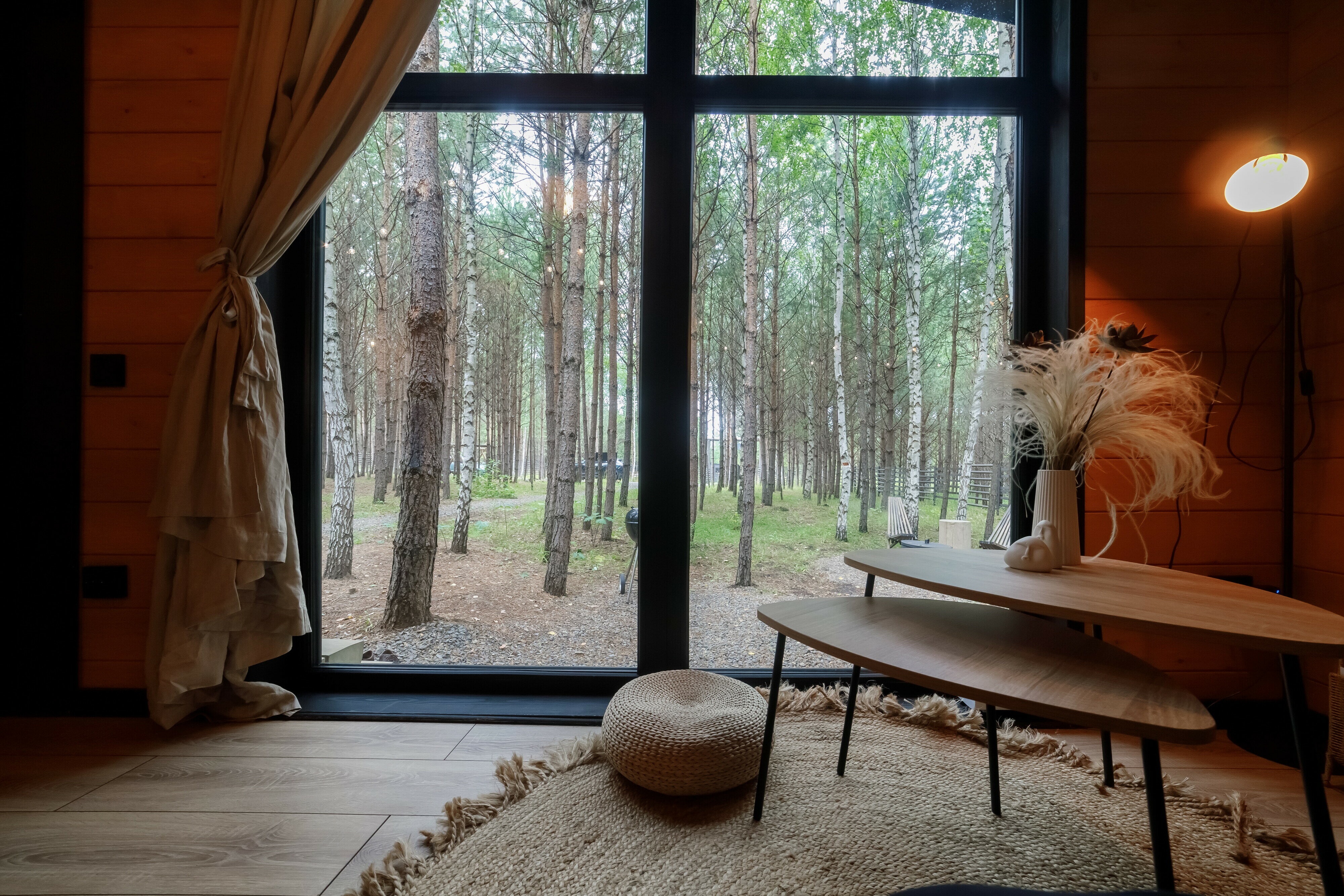 Фото Место под соснами