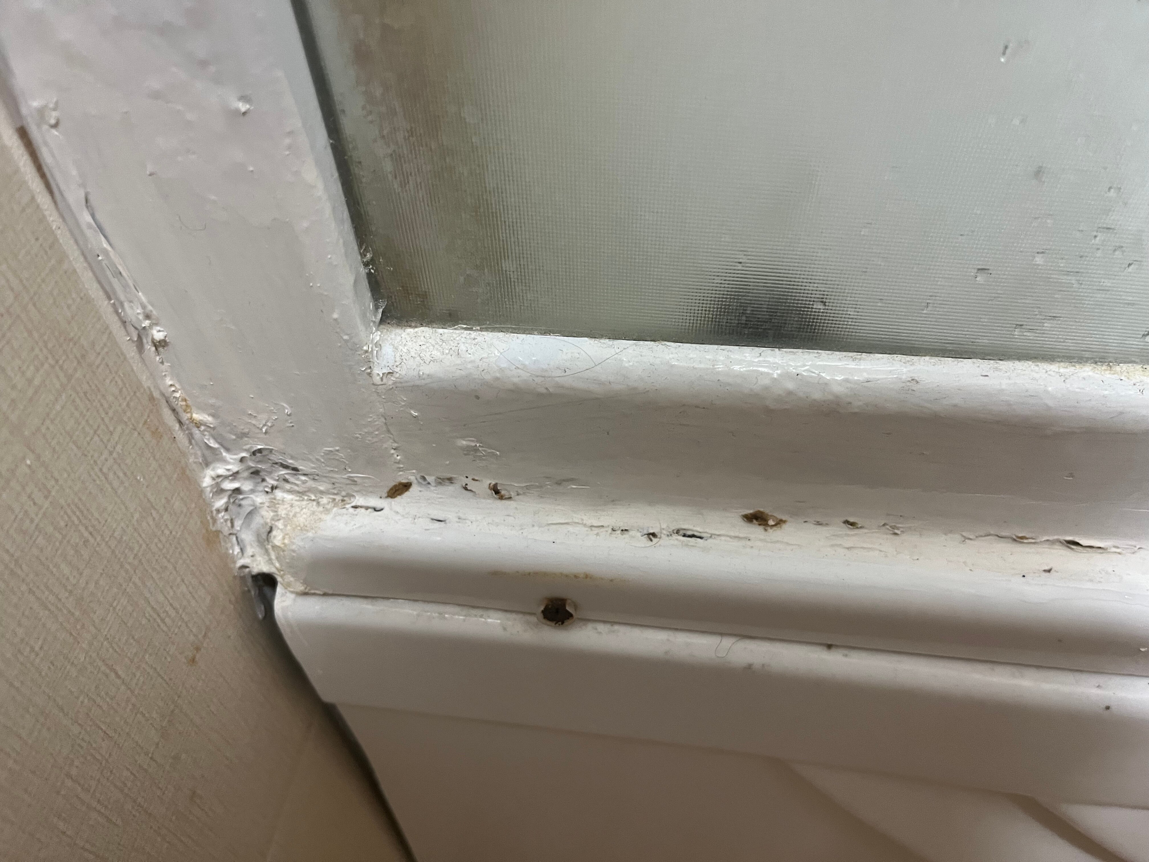 Фото Жемчужина