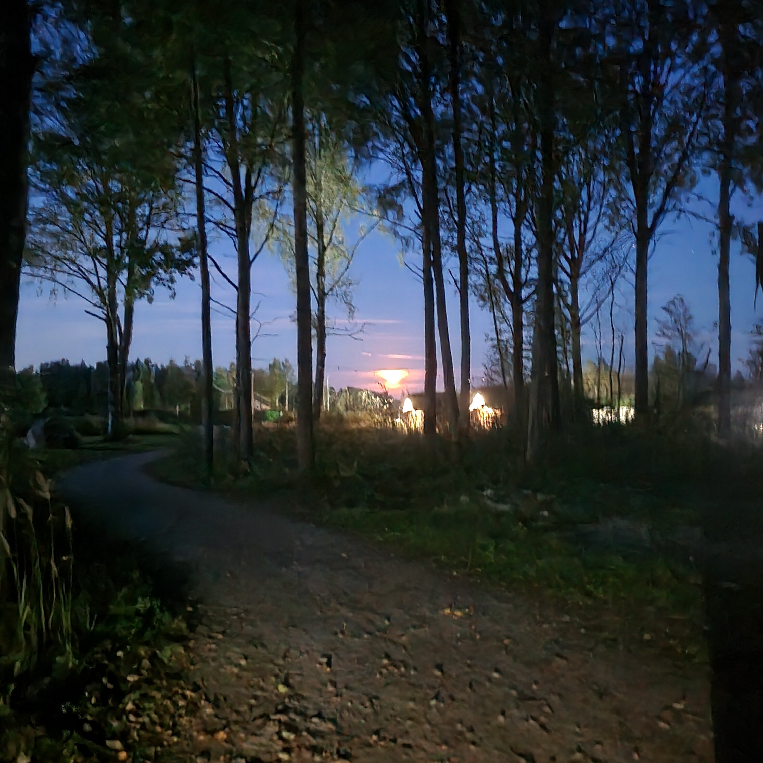 Фото Грин ярд