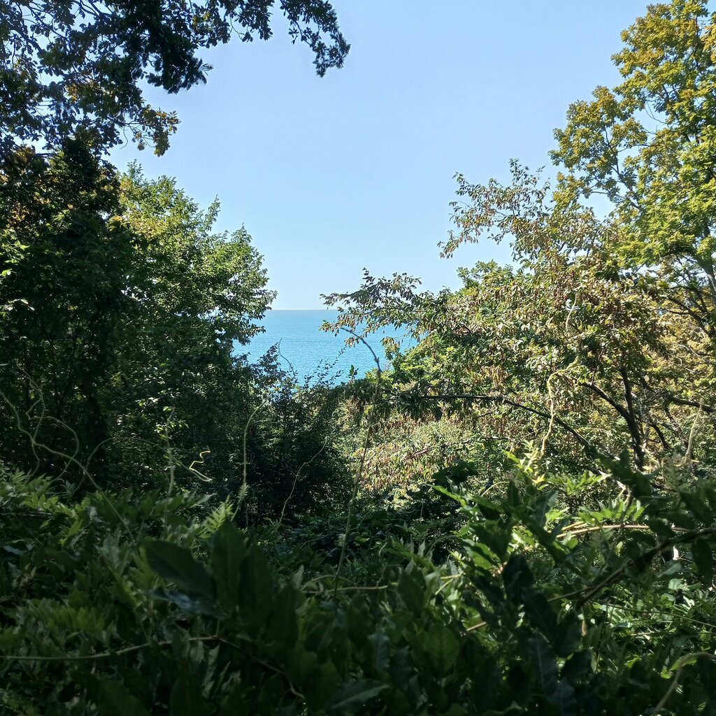 Landmark, attraction База отдыха Туапсе, Tuapse, photo