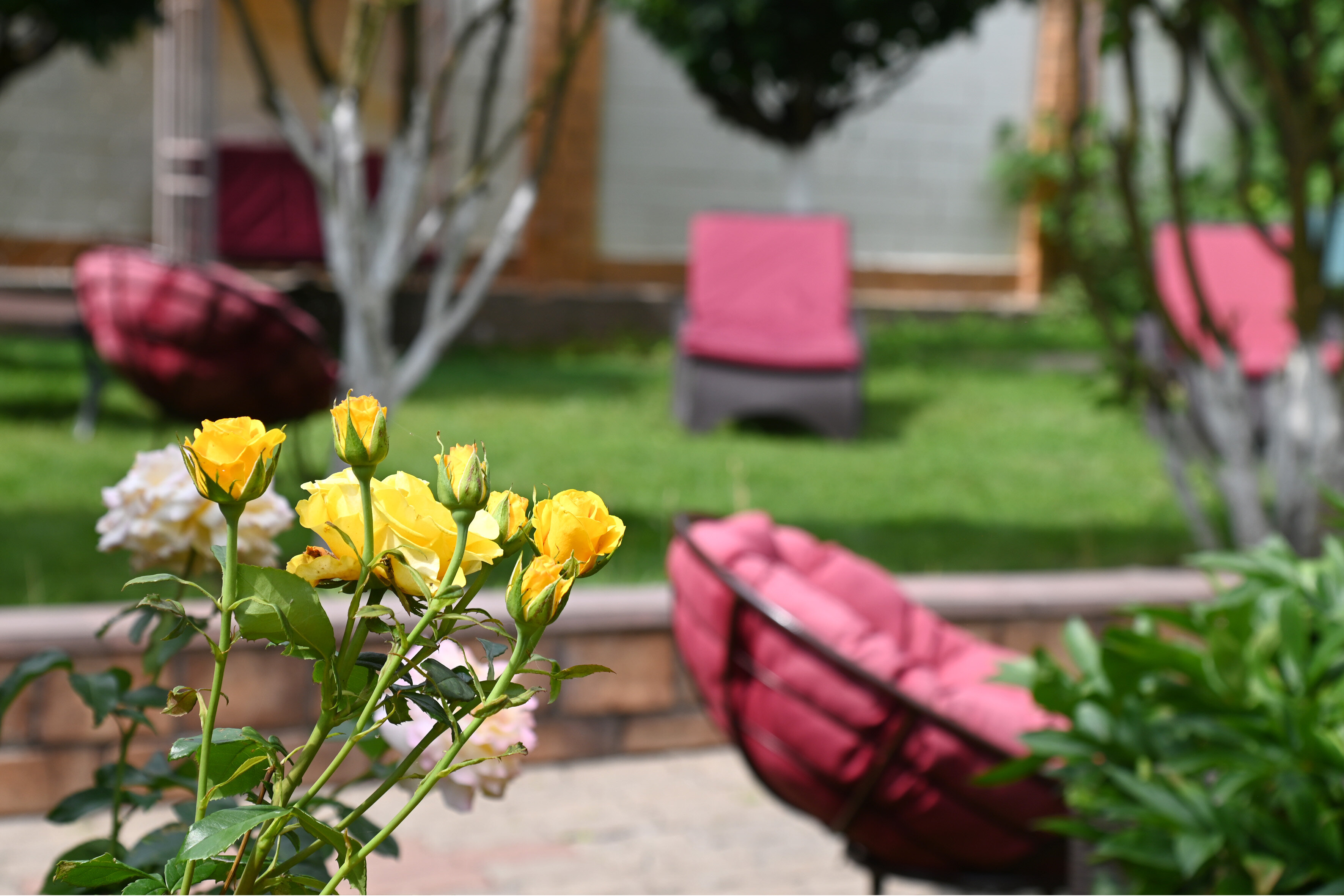 Фото Тарасово Хаус