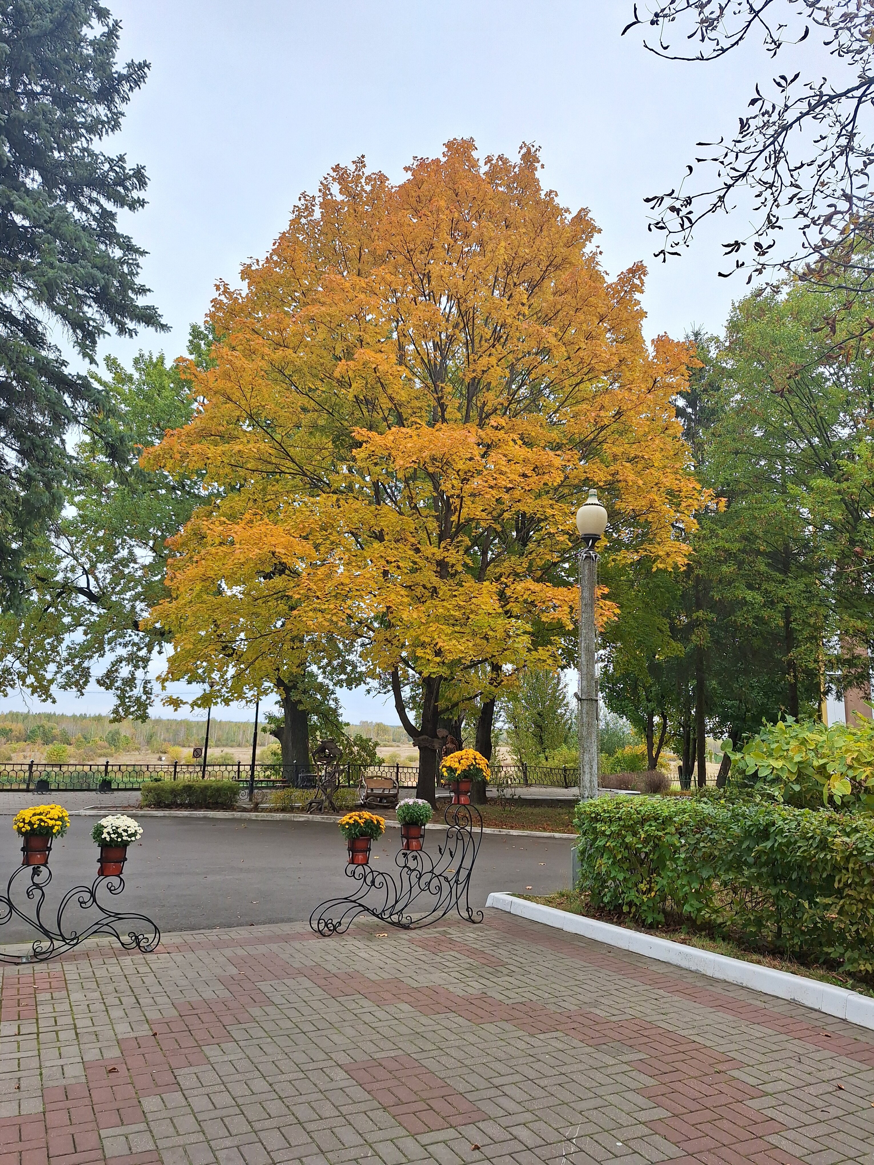 Фото Санаторий имени В.И. Ленина