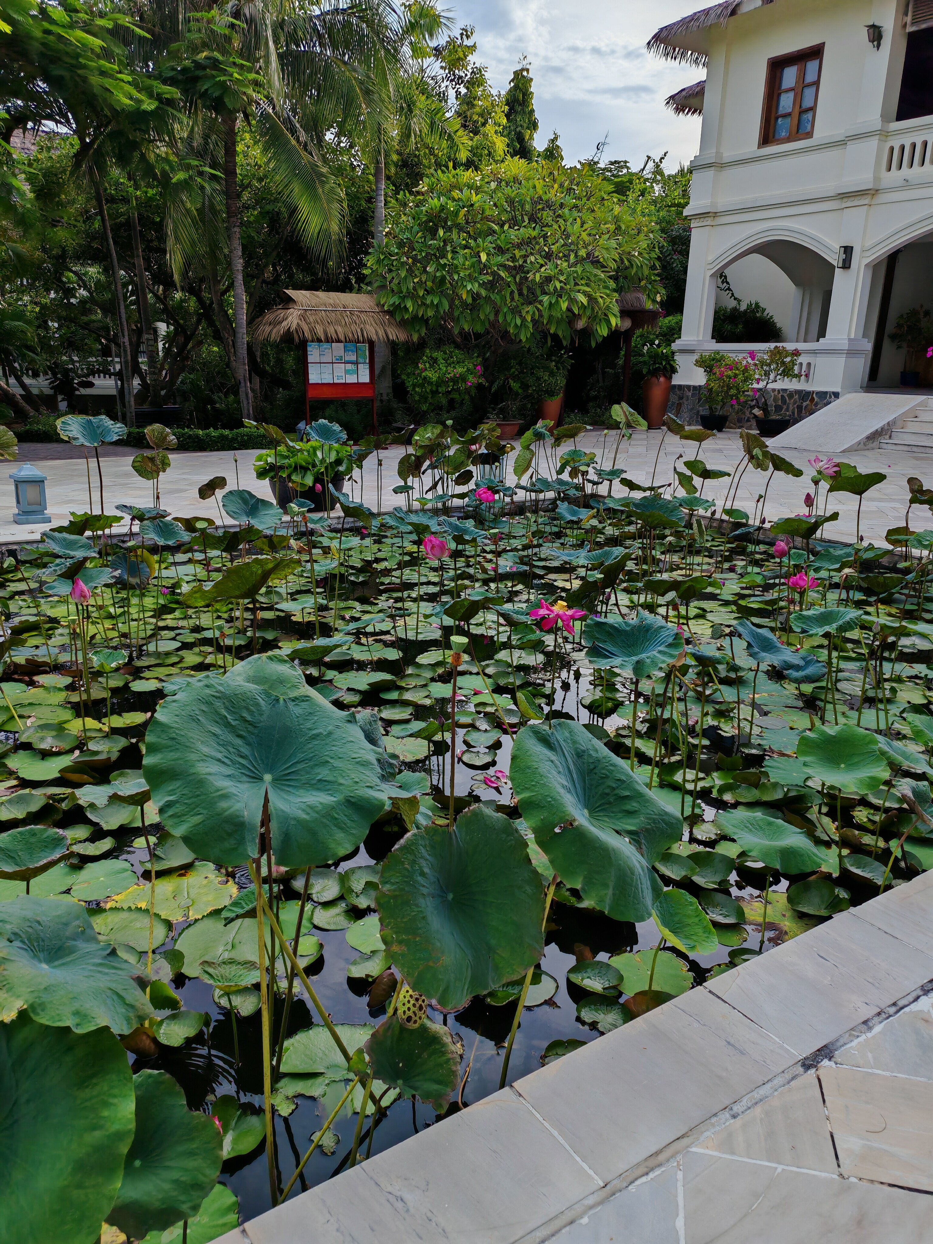 Фото Allezboo Beach Resort & SPA