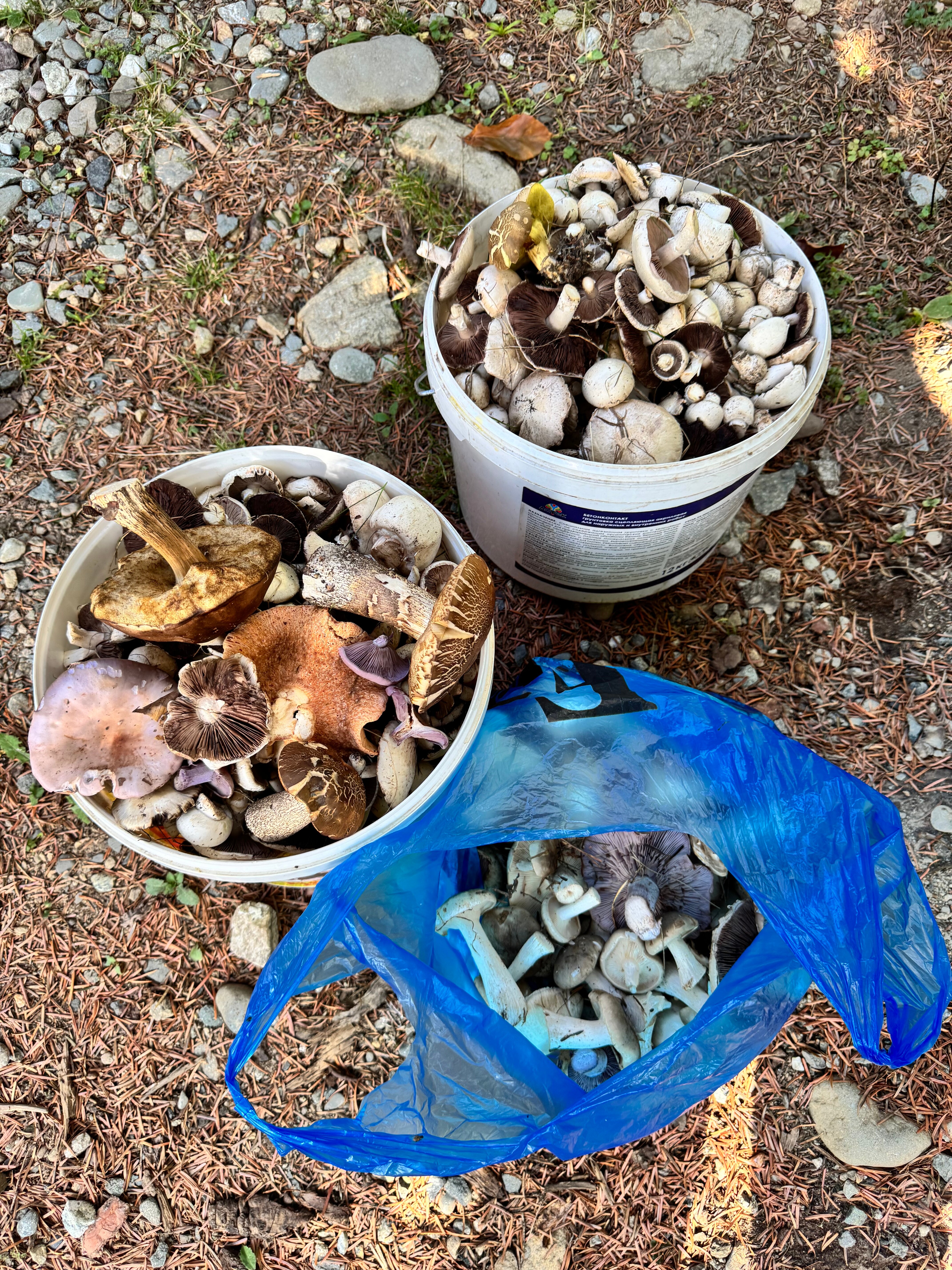 Фото Атмосфера Архыз