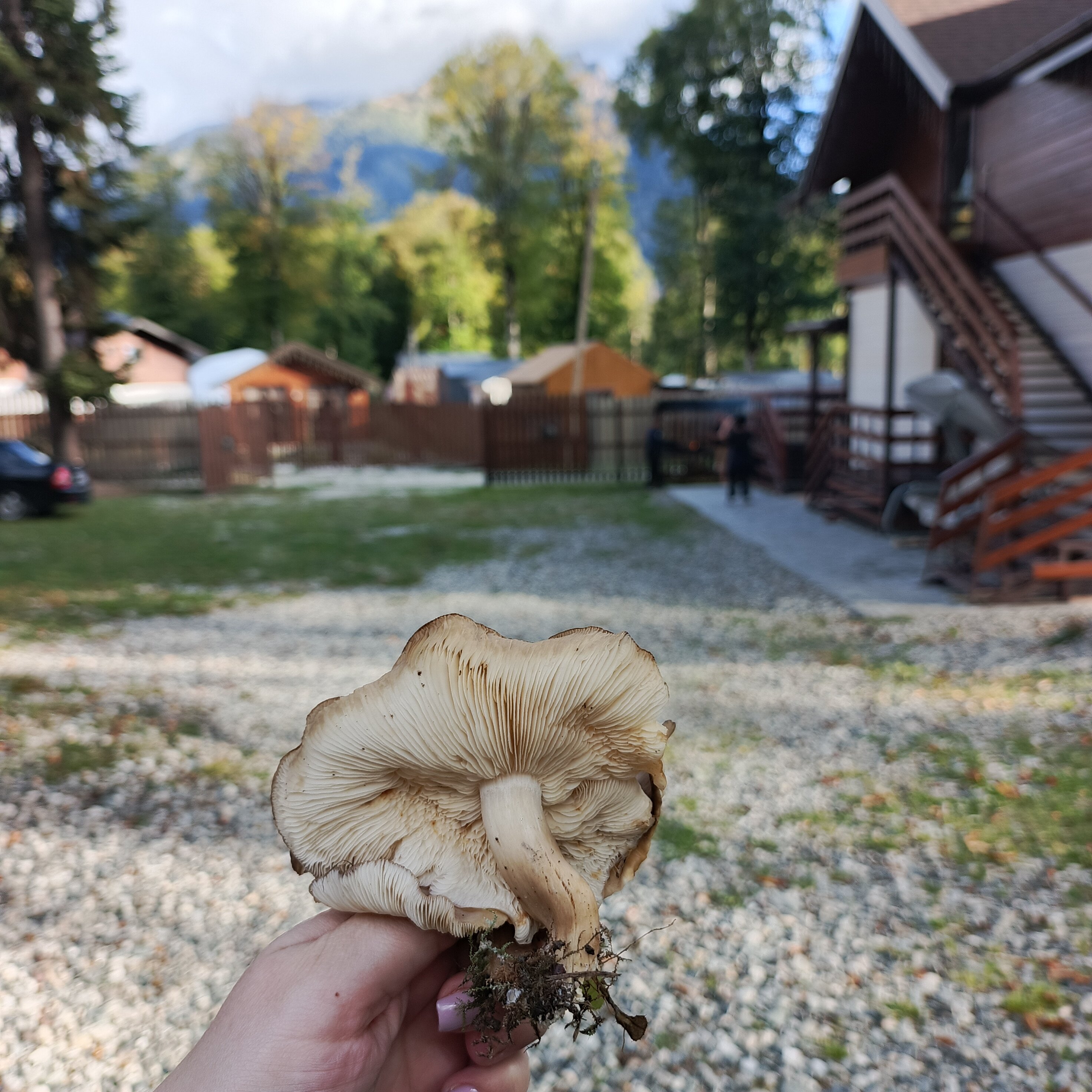 Фото Орлиное Поместье