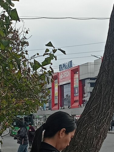 Жалқау әйелдердің фотосуреттерін қараңыз