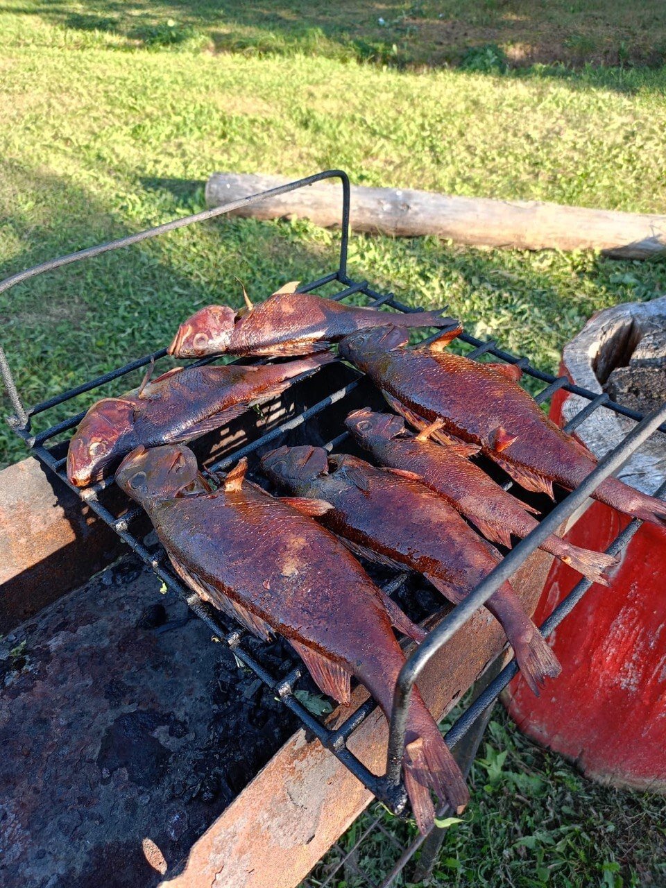 Фото Ильмера