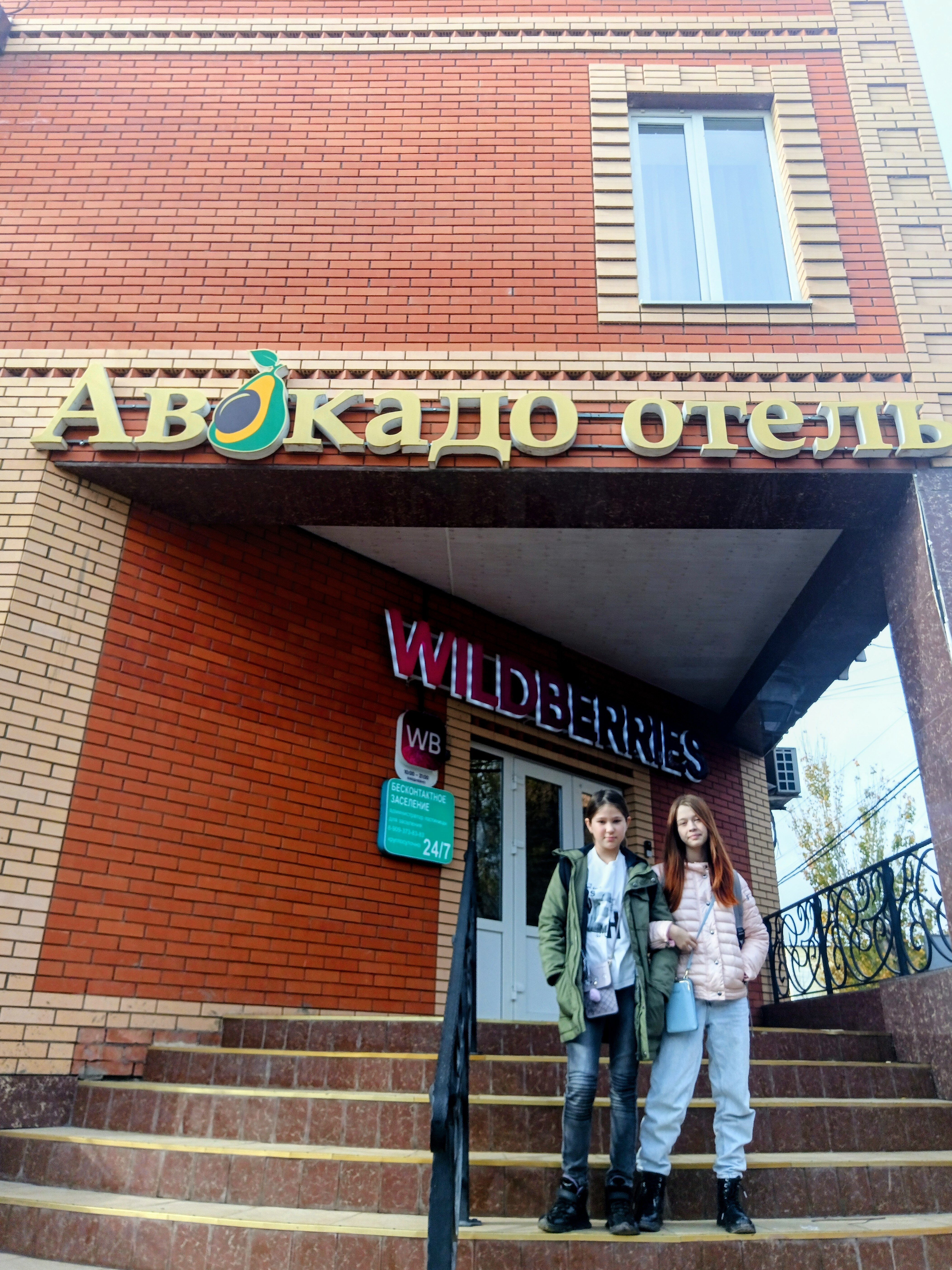 Фото Авокадо