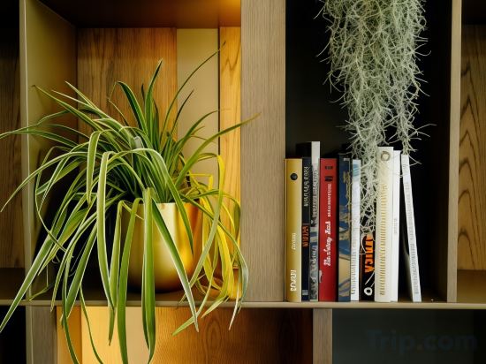 Фото 146807337150