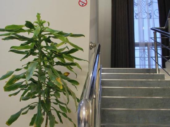 Фото Airport Hotel 24/7