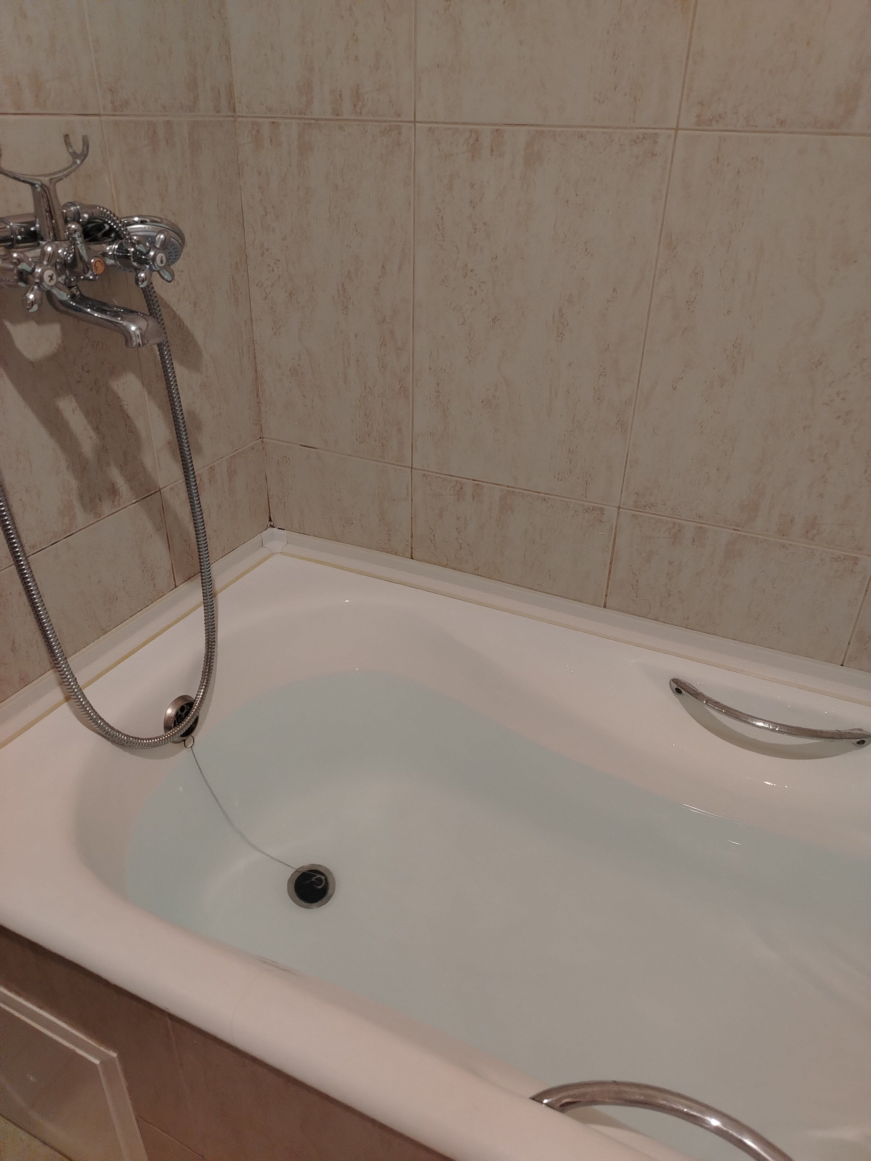 Фото Золотой дельфин