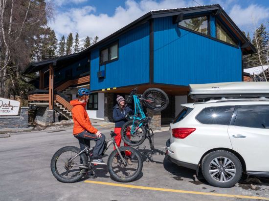 Фото The Dorothy Motel