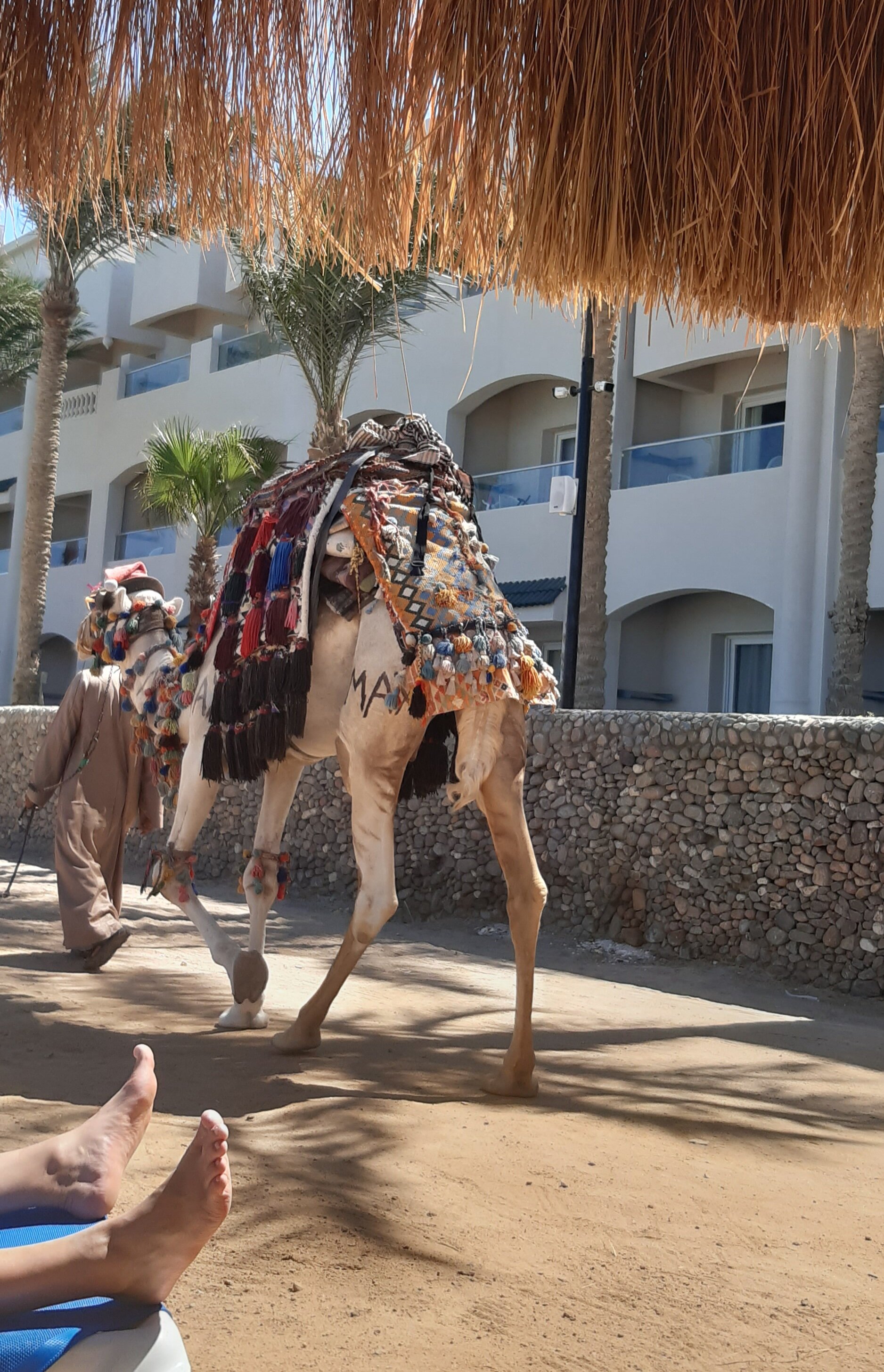 Фото Sunny Days Mirette Family Resort