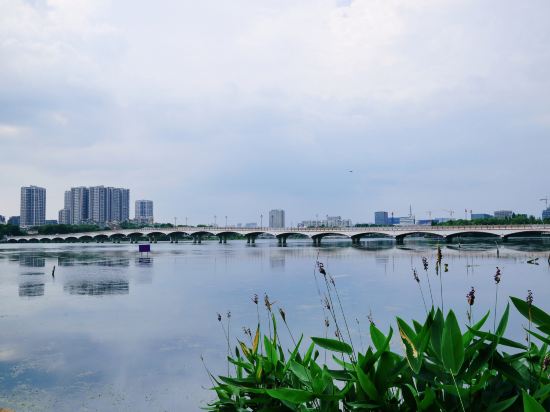 Фото 175193539499