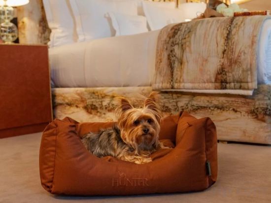 Фото Wine & Books Lisboa Hotel