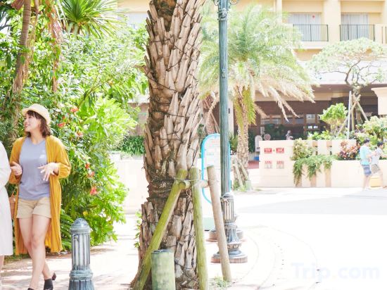 Фото Vessel Hotel Campana Okinawa