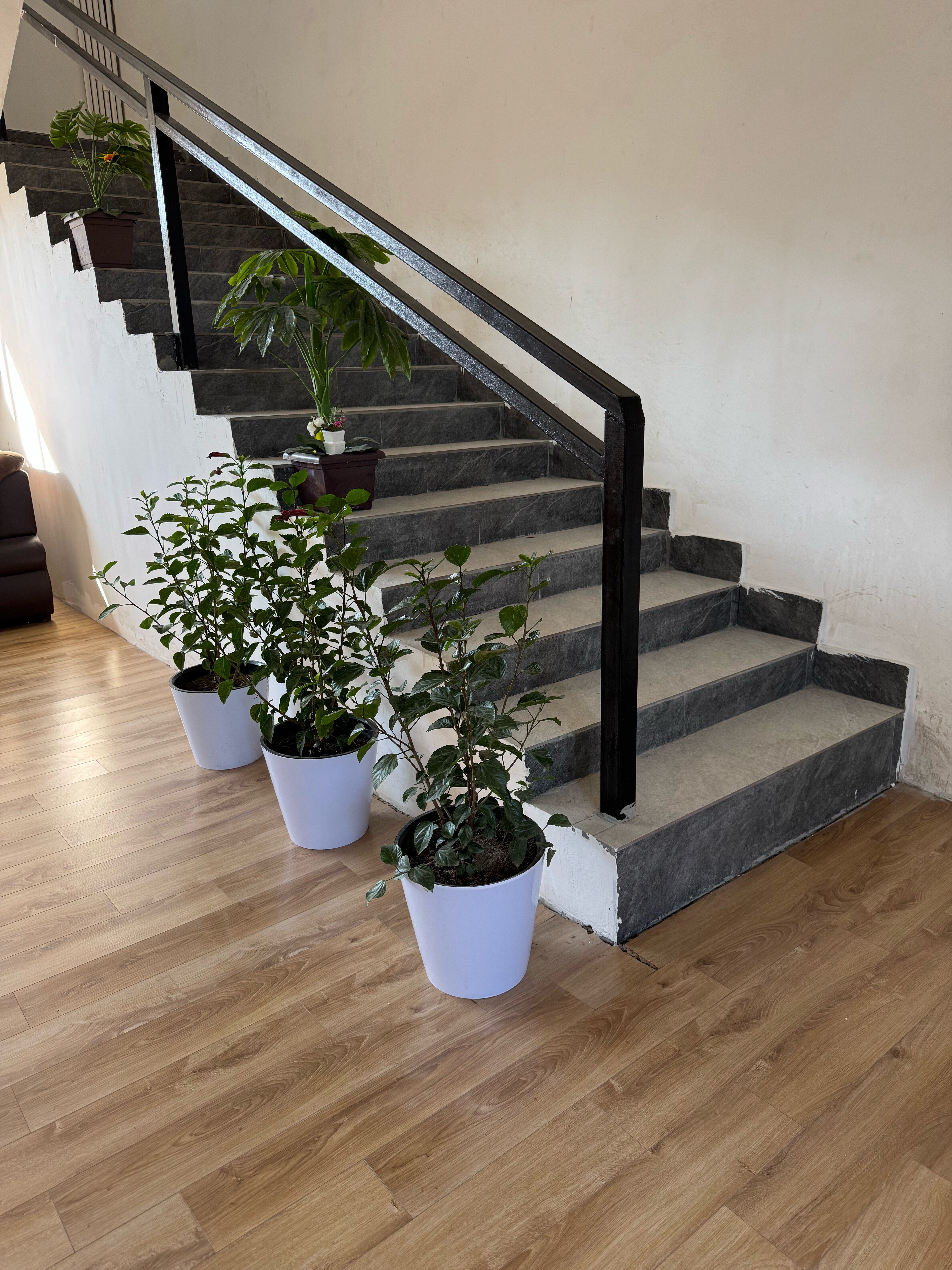 Фото Отель 10$