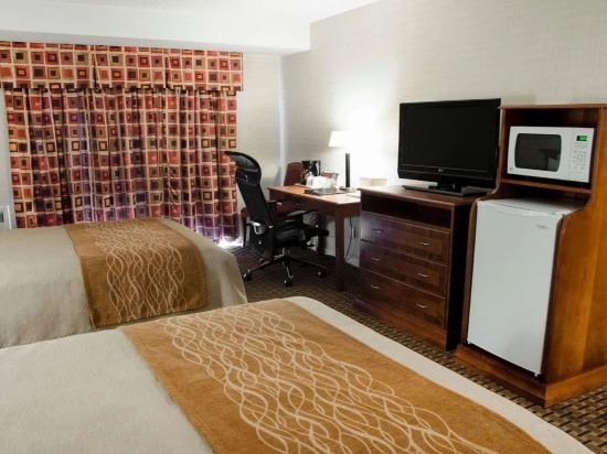 Фото Comfort Inn Toronto Northeast