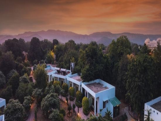 Фото Treehouse The Pugmark