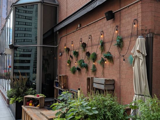 Фото M Social Hotel Times Square New York