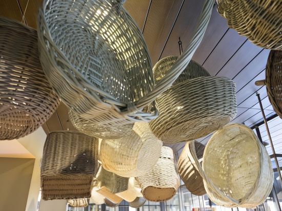 Фото Hotel Sunflower