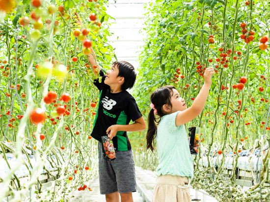 Фото Iwaki Washington Hotel