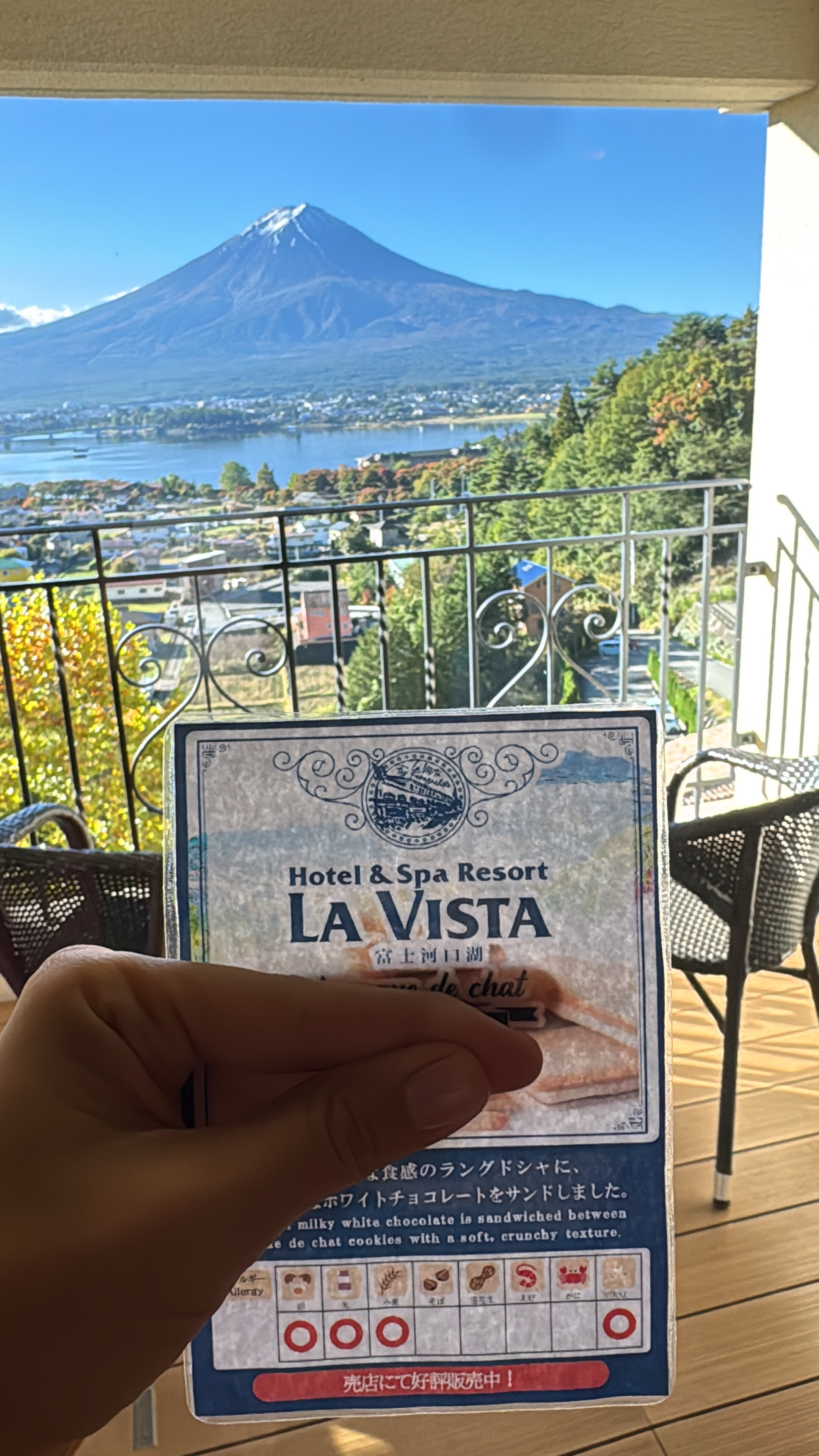 Фото La Vista Fuji Kawaguchiko