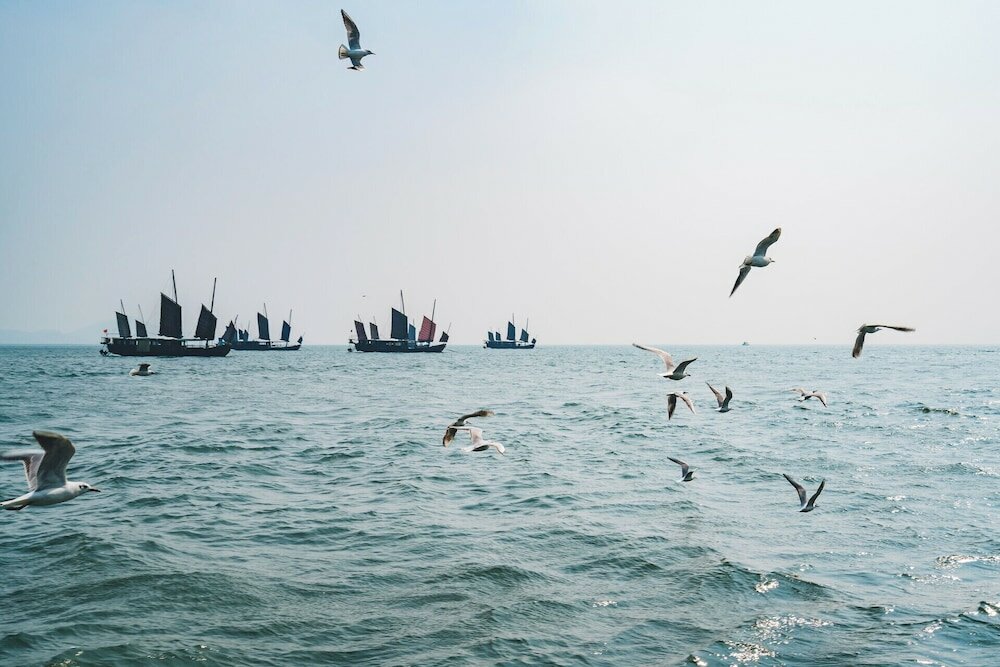 Фото Sheraton Wuxi Binhu Hotel