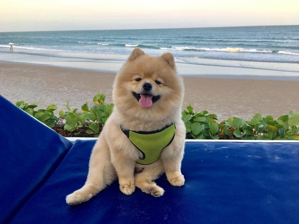 Фото Nern Chalet Beachfront Hotel