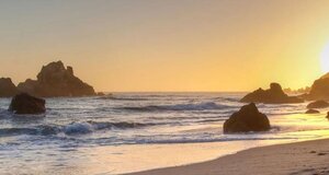 Гостиница Arbor Inn Monterey