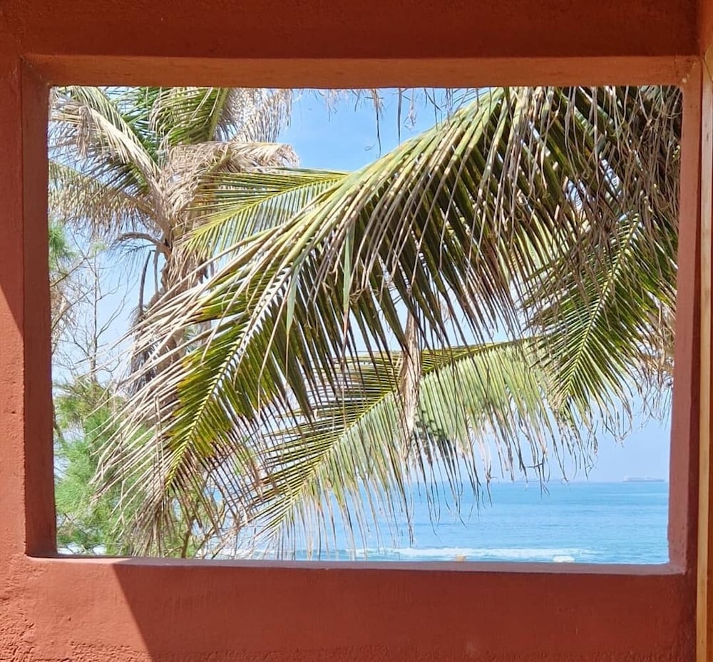 Фото New Robinson Plage