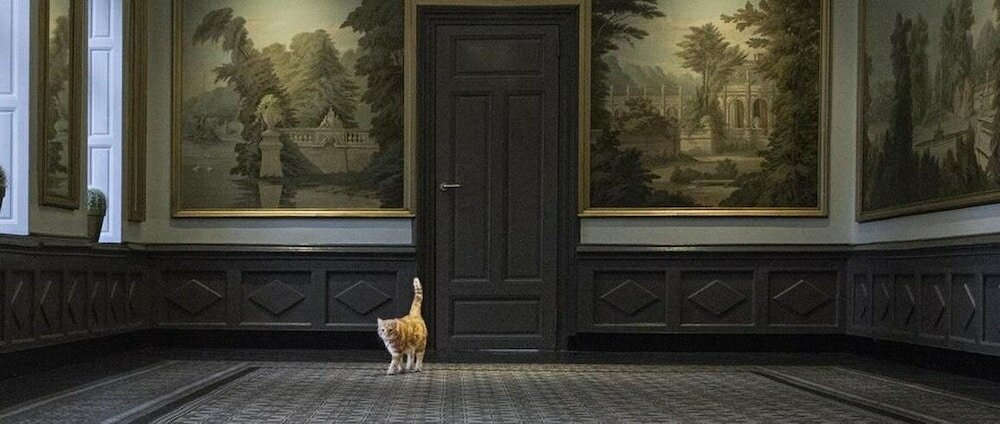 Фото Buitenplaats Vaeshartelt