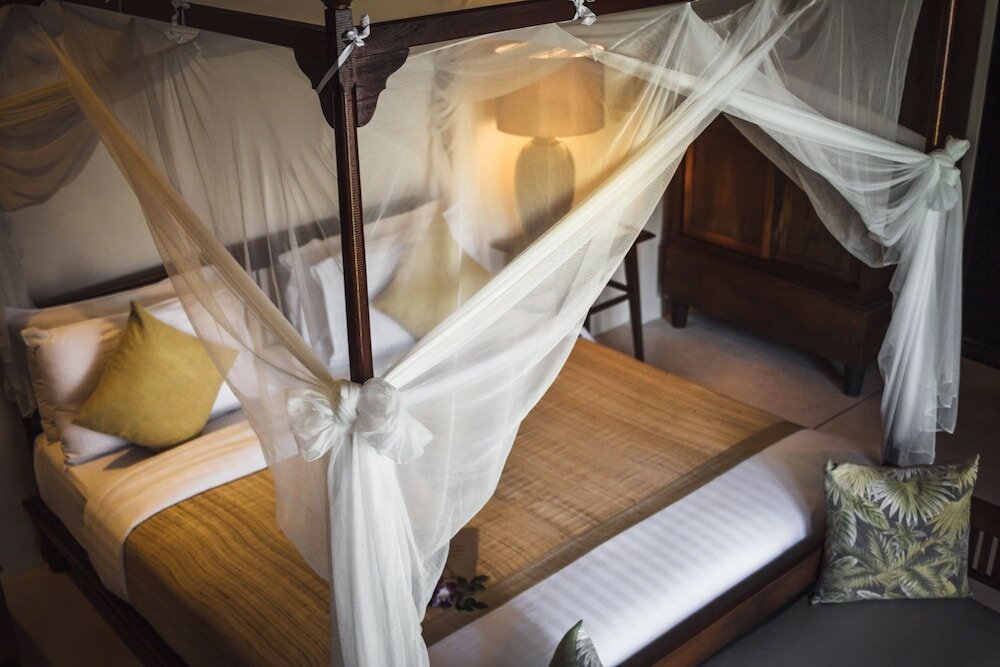 Фото Saree Samui