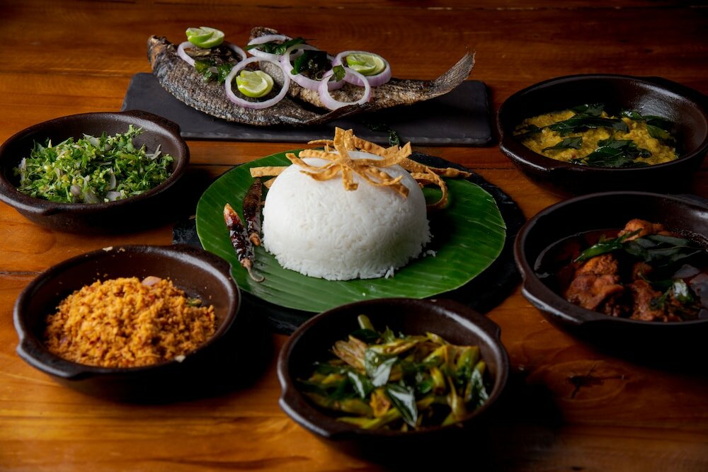 Фото Elephant Reach Yala