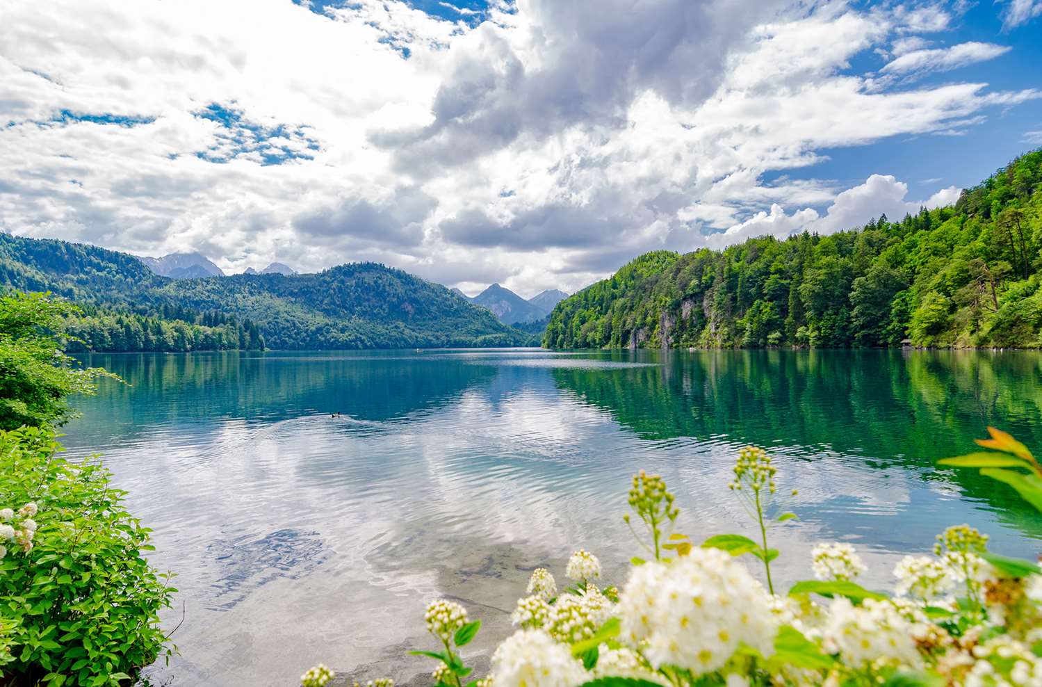 Фото Best Western Plus Hotel Fussen