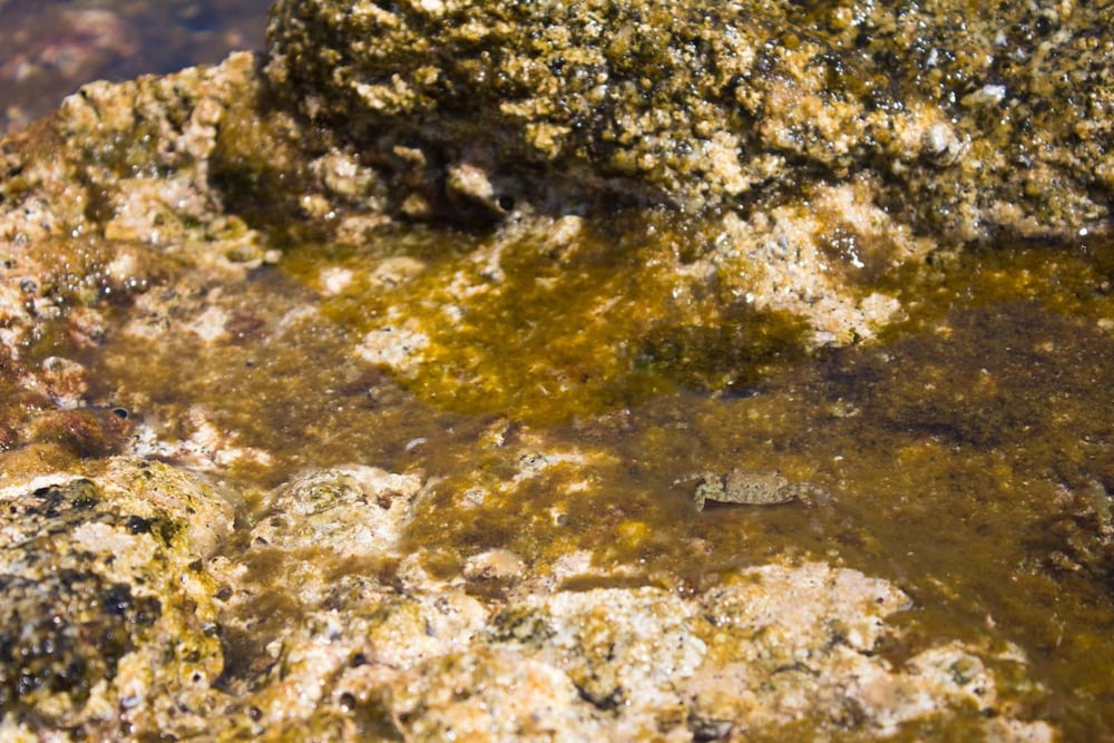 Фото Hotel Grotticelle