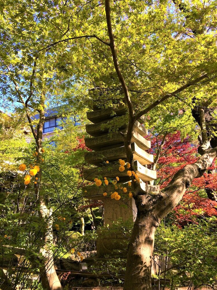 Фото Ryokan Nenrinbo