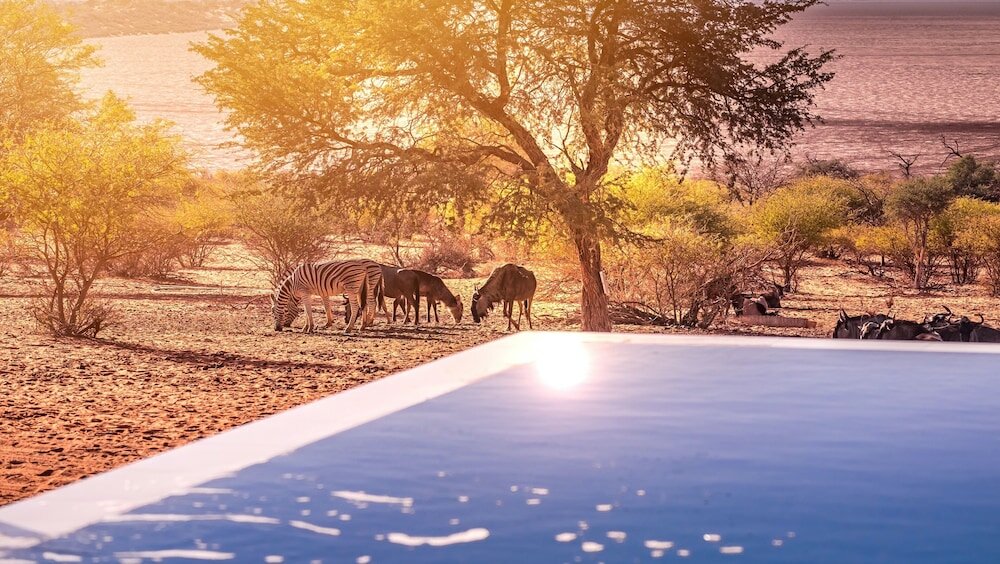 Фото Bagatelle Kalahari Game Ranch