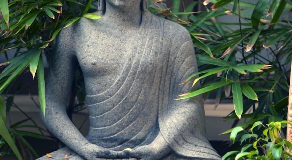 Фото Hanu Reddy Residences Poes Garden