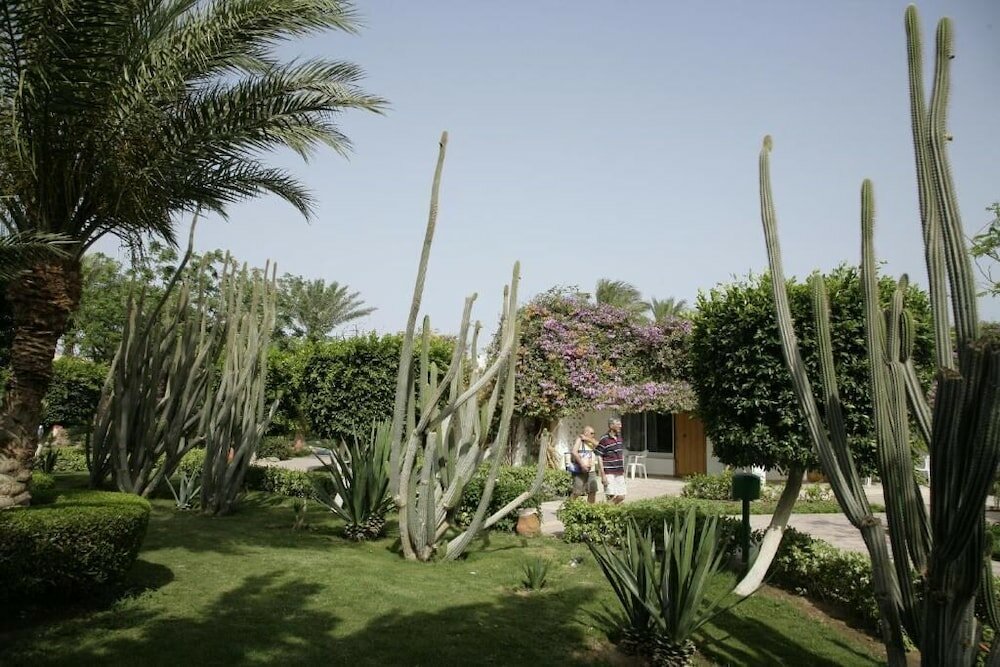 Фото 229400115934