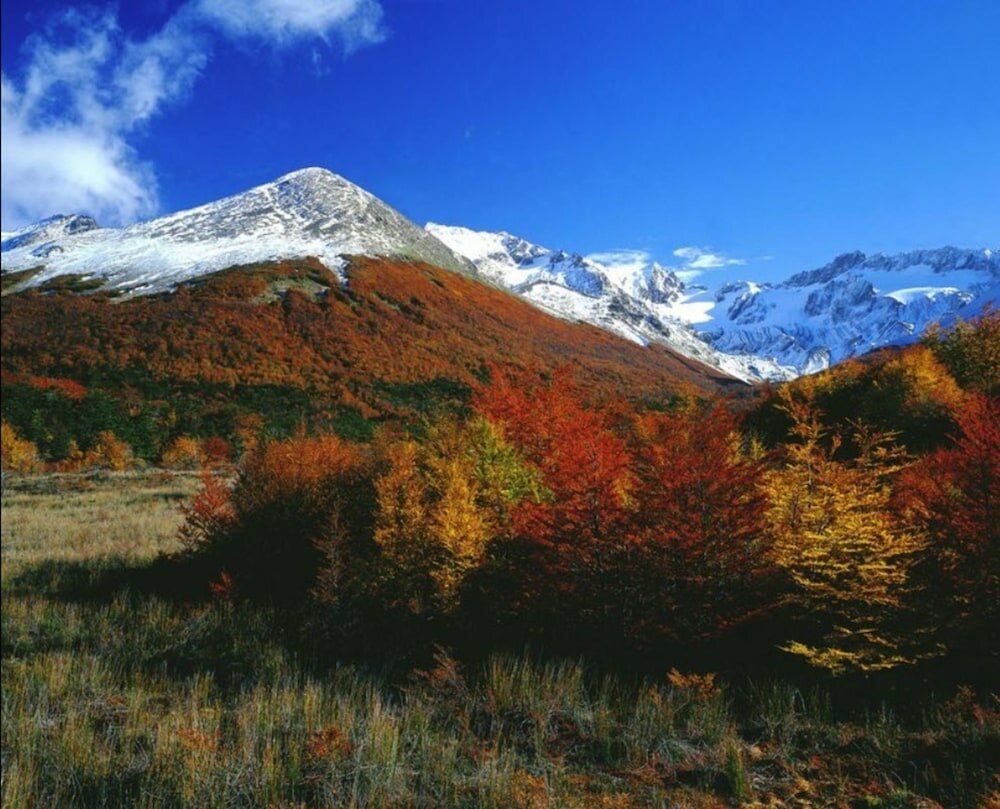 Фото Arakur Ushuaia