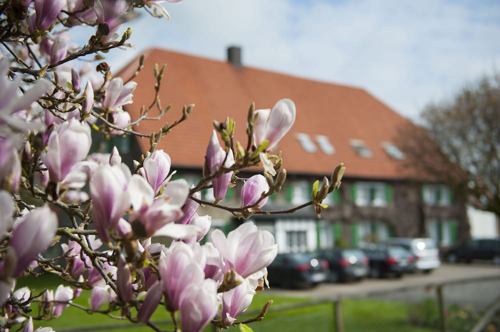 Фото Akzent Hotel Gut Hoeing