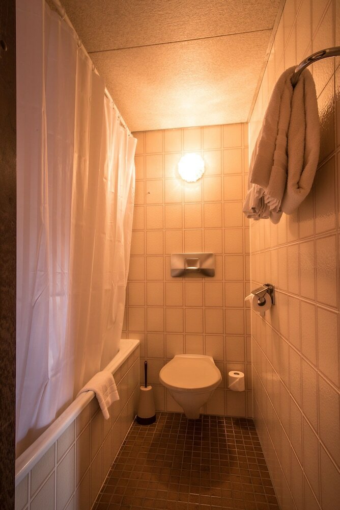 Фото Hotel Falken